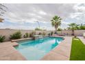Relaxing pool area with a waterfall feature, lush plants, and mature palm trees at 19537 E Thornton Rd, Queen Creek, AZ 85142