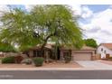 Single-story home with desert landscaping, a mature shade tree, tile roof and a beige exterior at 345 S Buena Vista Ave, Gilbert, AZ 85296