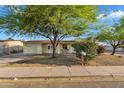 Charming single-story home with a well-manicured front yard and mature landscaping at 607 E Holmes Ave, Mesa, AZ 85204