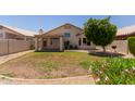 This spacious backyard includes a covered patio, grassy area with desert landscaping and a mature shade tree at 8614 W Shaw Butte Dr, Peoria, AZ 85345