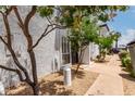 Exterior of property features a stucco wall, mature trees, and sidewalk leading to the front entrance at 6348 N 7Th Ave # 6, Phoenix, AZ 85013