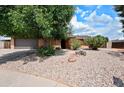 Charming home with a well-maintained, low-maintenance desert rock yard and mature shade tree in front at 4115 W Danbury Dr, Glendale, AZ 85308