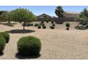 Spacious backyard featuring desert landscaping, mature trees, and a calming atmosphere for outdoor enjoyment at 16280 W Durango St, Goodyear, AZ 85338