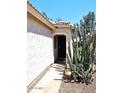 Front entryway with a black door and desert plant life along the side of the house at 3122 E Kristal Way, Phoenix, AZ 85050