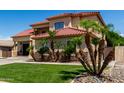 Beautifully landscaped front yard featuring vibrant green grass and mature palm trees at 3644 E Del Rio St, Gilbert, AZ 85295