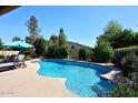 Bask in the sun by this refreshing pool, surrounded by lush foliage and clear blue skies at 5879 E Marconi Ave, Scottsdale, AZ 85254