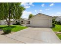 Charming single-story home with a two-car garage, a well-manicured lawn, and attractive desert landscaping at 13023 W Tangelo Dr, Sun City West, AZ 85375