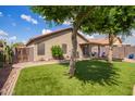 Well maintained backyard area features green grass, a covered patio, and mature landscaping at 15633 W Acapulco Ln, Surprise, AZ 85379