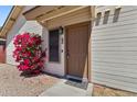 Inviting front entrance with desert landscaping and vibrant pink bougainvillea, creating curb appeal at 2455 E Broadway Rd # 68, Mesa, AZ 85204