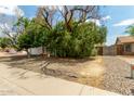 Landscaped front yard featuring mature landscaping and stone ground cover at 5923 W Mauna Loa Ln, Glendale, AZ 85306