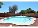 Inviting backyard pool perfect for relaxing and entertaining on a sunny day at 6603 W Saddlehorn Rd, Phoenix, AZ 85083