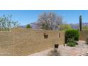 Backyard view of a landscaped private wall with desert flora at 7144 E San Cristobal Way, Gold Canyon, AZ 85118