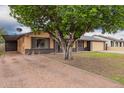 Charming single-story home with a beautiful mature tree in front and extended driveway at 7755 W Cora Ln, Phoenix, AZ 85033