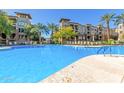 Community pool and lounge chairs are surrounded by mature palm trees at 5350 E Deer Valley Dr # 3274, Phoenix, AZ 85054