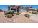 Well-maintained house with desert landscaping, including decorative rocks and flowering bushes at 830 S Cerise --, Mesa, AZ 85208
