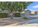 Inviting home exterior with a mature shade tree and xeriscaped yard at 1258 W Plane Tree Ave, San Tan Valley, AZ 85140