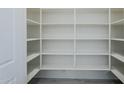 Large white walk-in pantry has ample shelving at 24000 S 218Th Pl, Queen Creek, AZ 85142