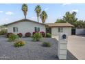 Charming single-story home with desert landscaping, palm trees, and mailbox at 4240 E Bluefield Ave, Phoenix, AZ 85032