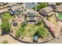 Expansive backyard featuring a large grass area, trampoline, and potential for outdoor entertaining at 21188 N Duncan Dr, Maricopa, AZ 85138