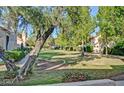 Expansive green lawn surrounded by trees, offering a serene outdoor space at 602 N May -- # 17, Mesa, AZ 85201