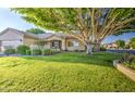 Beautiful home showcasing lush green lawn, mature tree, and covered front entry at 8748 W Maui Ln, Peoria, AZ 85381