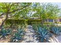 Landscaped pathway with desert plants and trees leading to the home at 10179 E Camelot Ct, Scottsdale, AZ 85255