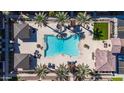 Overhead view of pool with lounge seating, umbrellas, and palm trees in a stylish setting at 155 N Lakeview Blvd # 268, Chandler, AZ 85225
