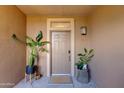 Stylish front entrance with decorative plants adding a welcoming touch to the home's exterior at 20100 N 78Th Pl # 1048, Scottsdale, AZ 85255