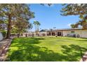 Expansive backyard with lush lawn, covered patio, and privacy fence at 401 E Braeburn Dr, Phoenix, AZ 85022