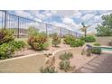 Relaxing backyard featuring mature landscaping, a desert aesthetic, and a secure wrought iron fence at 6388 W Donald Dr, Glendale, AZ 85310