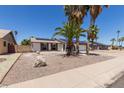 Lovely single-story home with solar panels, desert landscaping, and mature palm trees at 10610 W Diana Ave, Peoria, AZ 85345