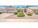 Charming single-story home with manicured landscaping, including green shrubbery and desert rock at 5283 W Dublin Ct, Chandler, AZ 85226