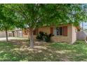 Landscaped front yard with lush green grass and mature trees, providing shade and curb appeal at 6902 E Cypress St, Scottsdale, AZ 85257