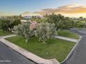 Beautiful exterior view with well-maintained lawn and greenery in a serene neighborhood setting at 8815 N 65Th St, Paradise Valley, AZ 85253