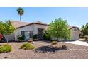 Beautiful home with desert landscaping, mature trees, and a spacious driveway leading to a two-car garage at 4335 E Enrose St, Mesa, AZ 85205