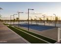 Well-maintained tennis court with professional lighting and manicured landscaping for recreational enjoyment at 11300 N Casa Dega Dr # 1090, Surprise, AZ 85388