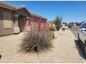 Desert landscaping with vibrant red yucca plants enhances the curb appeal of this charming home at 1769 E Jacob St, San Tan Valley, AZ 85140
