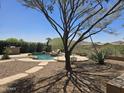 Expansive backyard featuring a pool, barbecue area, mature trees, and desert landscaping at 18359 W Sweet Acacia Dr, Goodyear, AZ 85338