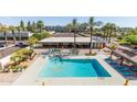 Beautiful pool area with clear blue water, loungers, and palm trees for a resort-like experience at 4750 N Central Ave # G3, Phoenix, AZ 85012