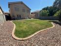 Spacious backyard featuring a well-maintained lawn and desert landscaping at 970 W Leah Ln, Gilbert, AZ 85233