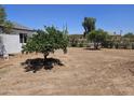 Spacious backyard with a green tree, perfect for outdoor activities and relaxation at 15445 N Verde St, Surprise, AZ 85378