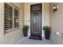 Close-up of the elegant front door with black planters and stylish hardware at 15501 W Camino Real Way, Surprise, AZ 85374