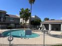 Community pool with metal fence and seating surrounded by palm trees at 19601 N 7Th St Ave # 1036, Phoenix, AZ 85024
