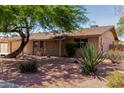 Beautiful single-story brick home with mature landscaping and desert-style yard at 3536 W Cholla St, Phoenix, AZ 85029