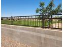 Backyard view features a wrought iron fence and a lush grassy yard, perfect for outdoor enjoyment at 10524 W Bloch Rd, Tolleson, AZ 85353