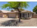 Street view of a single-story home with desert landscaping and a mature shade tree at 8569 W Voltaire Ave, Peoria, AZ 85381