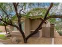 Home exterior featuring xeriscaping and a mature tree providing shade at 4254 S Winter Ln, Gilbert, AZ 85297