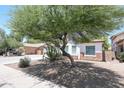 Charming single-story home featuring desert landscaping, trees, and well-kept surroundings at 7126 W Ocotillo Rd, Glendale, AZ 85303