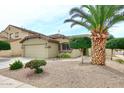 Single story home boasts a two-car garage, desert landscaping, and mature palm tree at 8341 W Gross Ave, Tolleson, AZ 85353