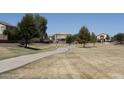 Scenic view of common area including curving sidewalk surrounded by green grass and mature trees at 1436 E Angie Dr, Casa Grande, AZ 85122